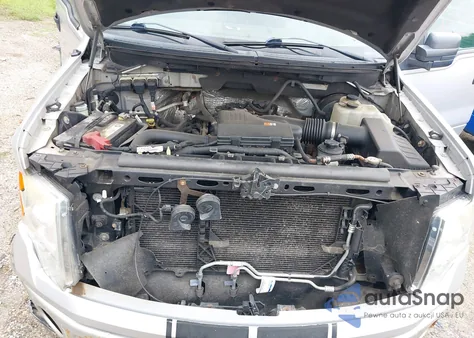 2009 Ford F-150 Stx/Xl/Xlt from USA, damaged, VIN 1FTRF14W49KB67005